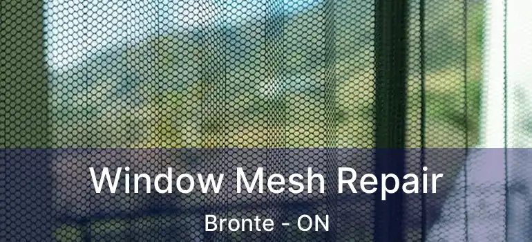  Window Mesh Repair Bronte - ON