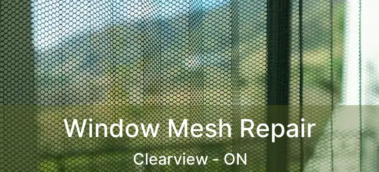  Window Mesh Repair Clearview - ON