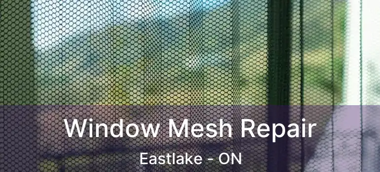  Window Mesh Repair Eastlake - ON