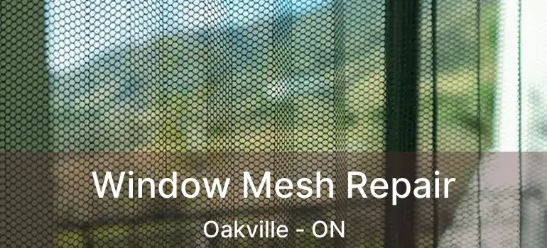  Window Mesh Repair Oakville - ON
