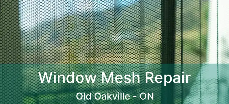  Window Mesh Repair Old Oakville - ON