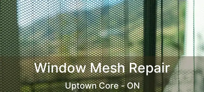  Window Mesh Repair Uptown Core - ON