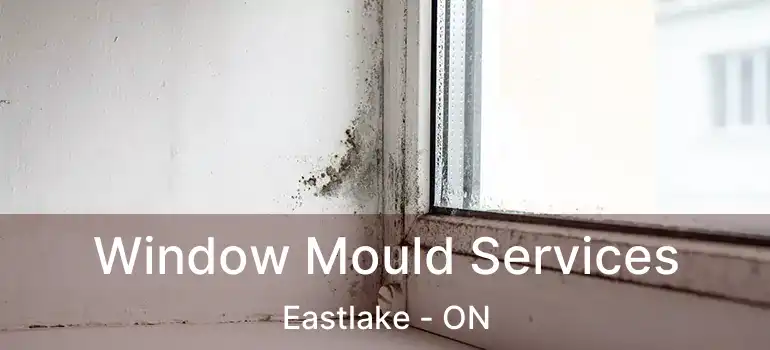  Window Mould Services Eastlake - ON