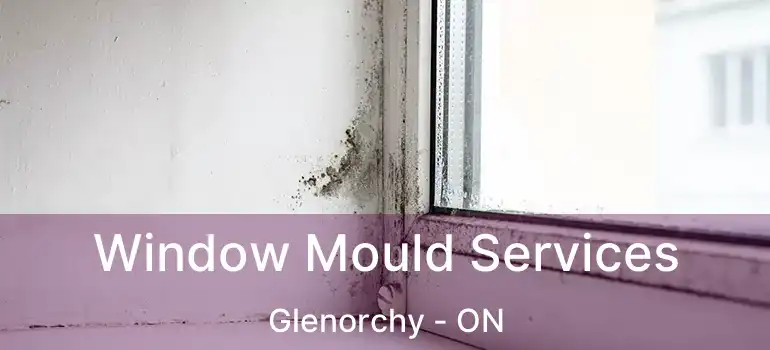  Window Mould Services Glenorchy - ON