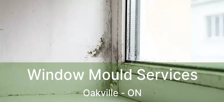  Window Mould Services Oakville - ON