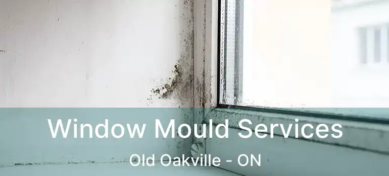  Window Mould Services Old Oakville - ON