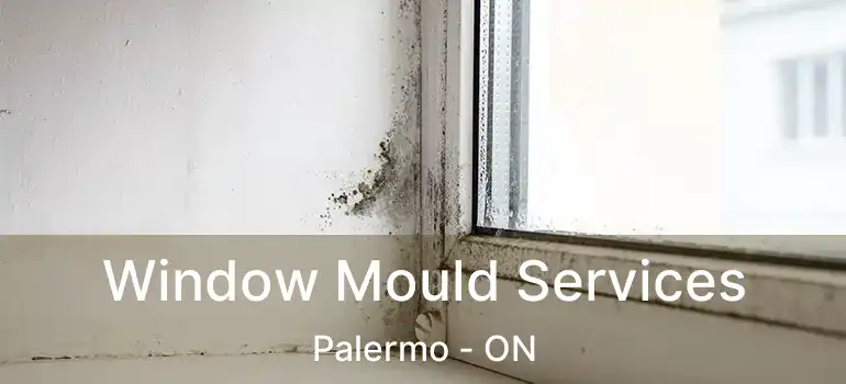  Window Mould Services Palermo - ON