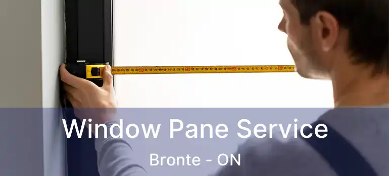  Window Pane Service Bronte - ON