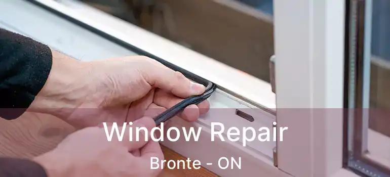  Window Repair Bronte - ON
