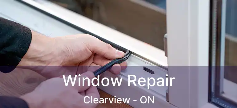  Window Repair Clearview - ON