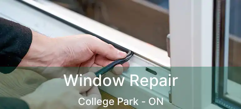  Window Repair College Park - ON