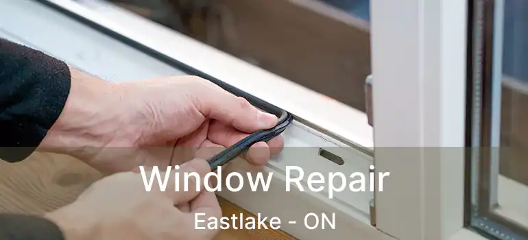  Window Repair Eastlake - ON