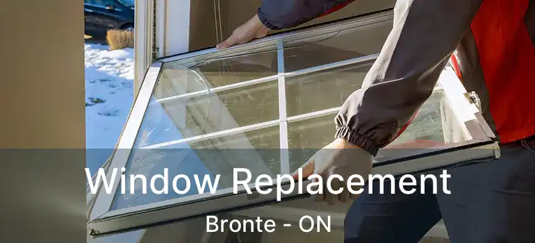  Window Replacement Bronte - ON