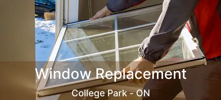  Window Replacement College Park - ON