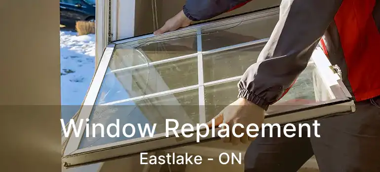  Window Replacement Eastlake - ON