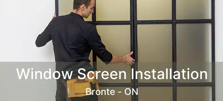  Window Screen Installation Bronte - ON