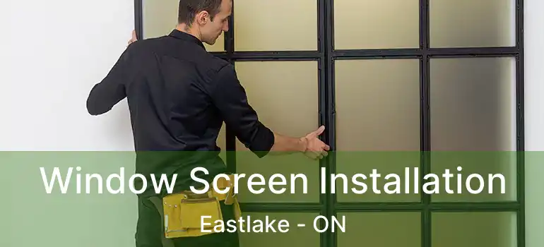  Window Screen Installation Eastlake - ON