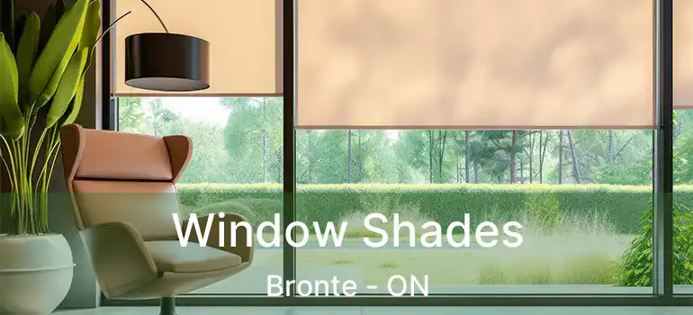  Window Shades Bronte - ON