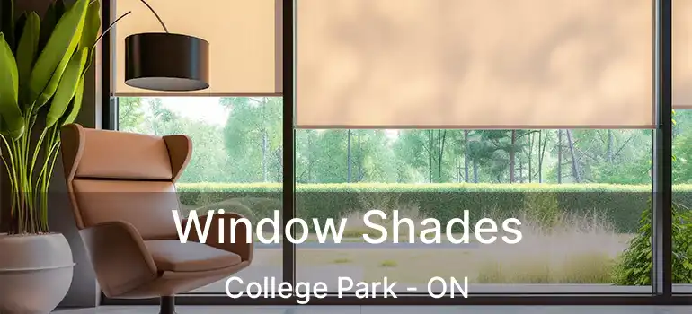  Window Shades College Park - ON