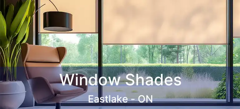  Window Shades Eastlake - ON