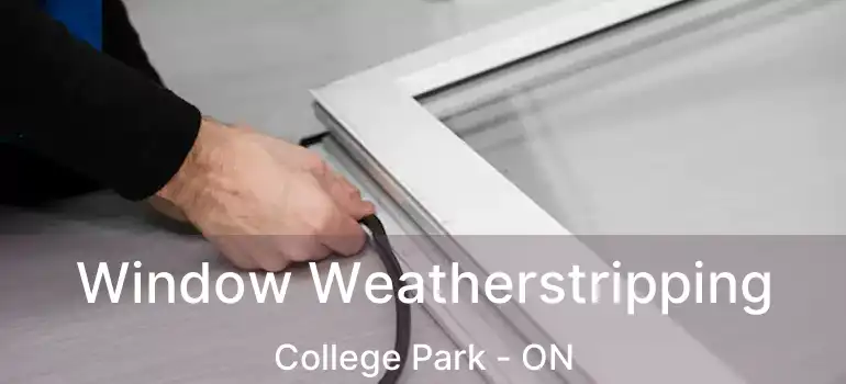  Window Weatherstripping College Park - ON