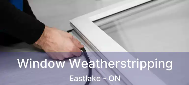  Window Weatherstripping Eastlake - ON