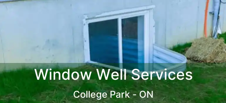  Window Well Services College Park - ON