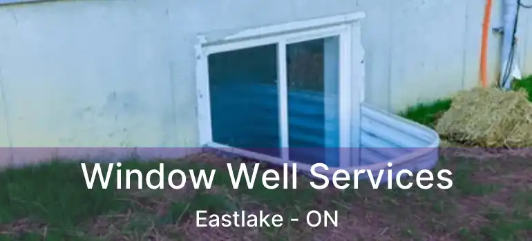  Window Well Services Eastlake - ON