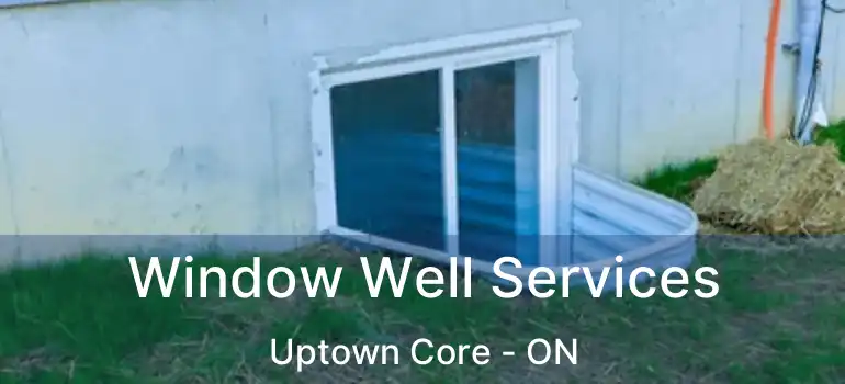  Window Well Services Uptown Core - ON