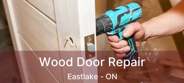  Wood Door Repair Eastlake - ON